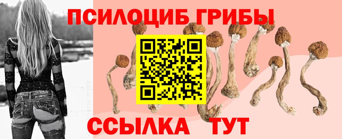 Псилоцибиновые грибы мицелий Приморско-Ахтарск