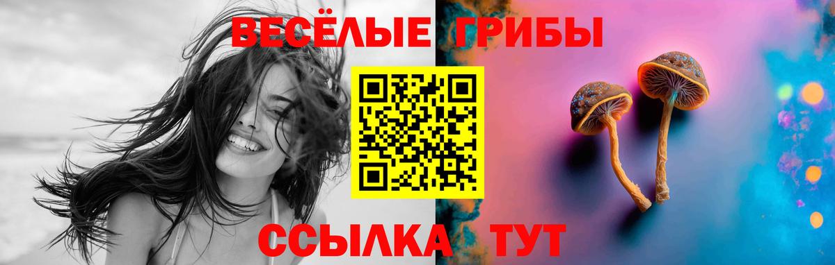 Галлюциногенные грибы ЛСД  Вход с VPN  Приморско-Ахтарск  Галлюциногенные грибы мицелий 